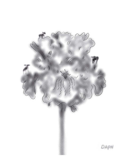 8x10 inch Art Print "An Exploration of Lambs"