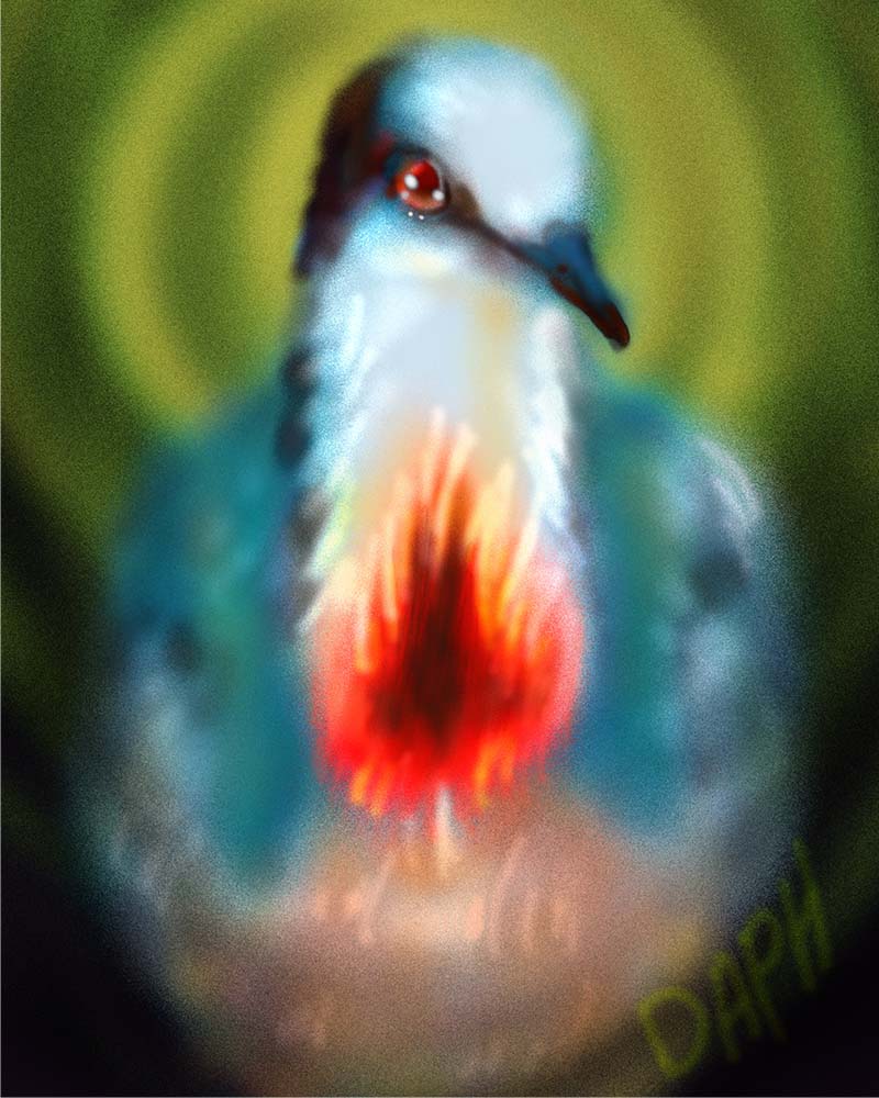 8x10 inch Art Print - Bleeding Heart Dove