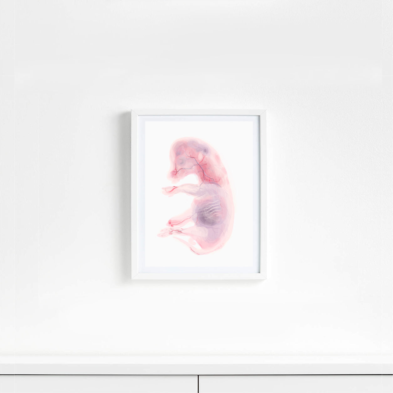 5x7 inch Fetus Art Print Cow, Cat, Pig, Mouse